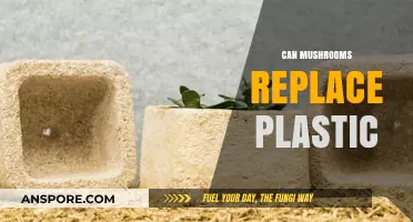 Mushrooms as Eco-Friendly Alternatives: Can They Replace Plastic?