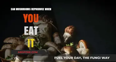 Can Mushrooms Reproduce Inside You After Being Eaten?