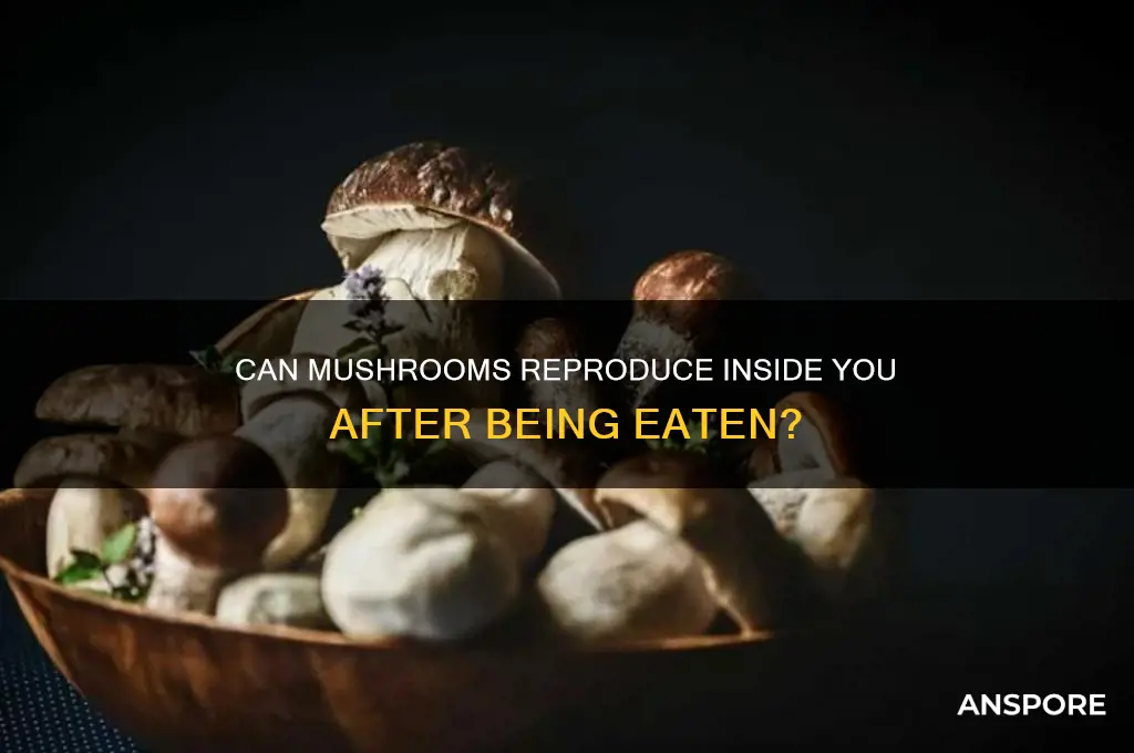 can mushrooms reproduce when you eat it