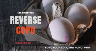 Mushrooms and COPD: Exploring Potential Reversal Benefits and Research