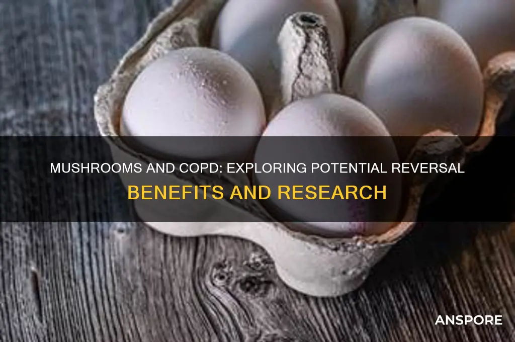 can mushrooms reverse copd