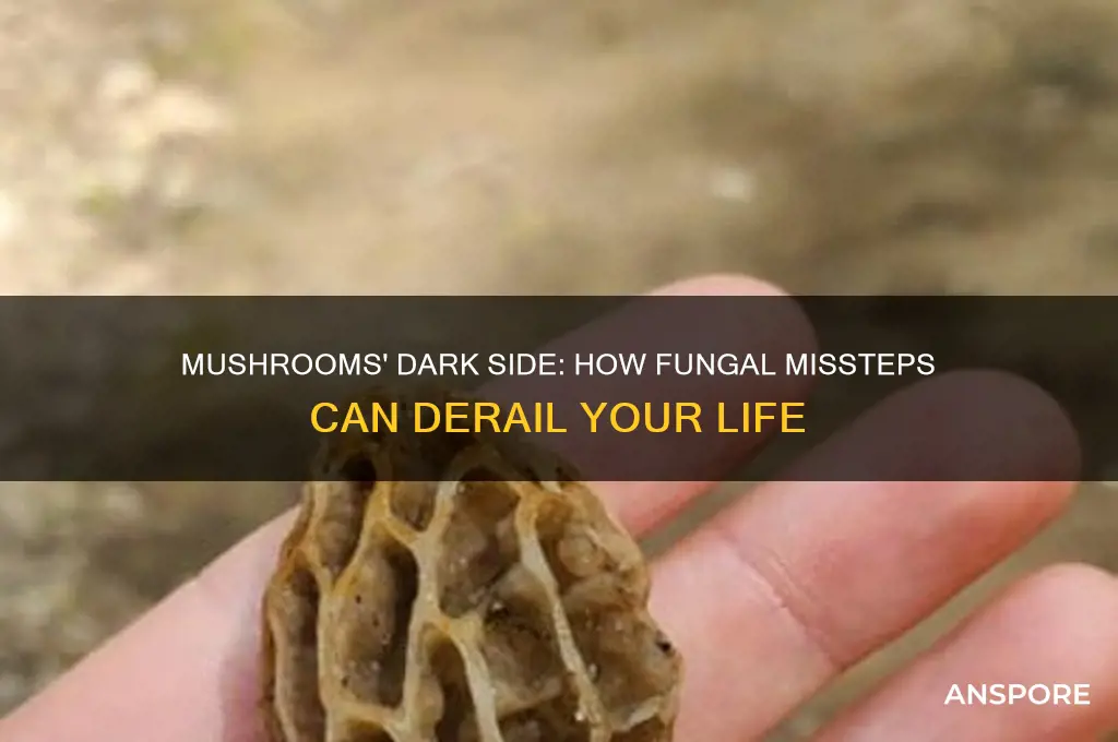 can mushrooms ruin your life