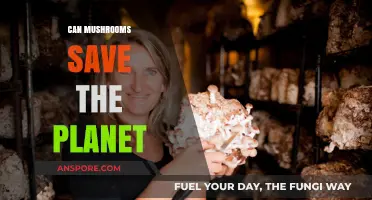 Mushrooms' Surprising Role in Combating Climate Change and Saving Earth