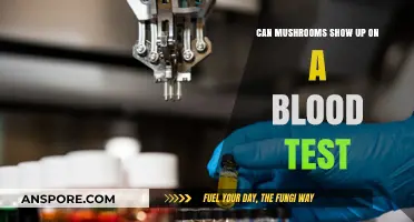 Do Mushrooms Appear in Blood Tests? Uncovering the Truth