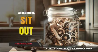 Can Mushrooms Sit Out? Storage Tips for Freshness and Safety