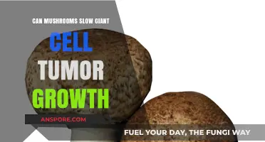 Mushrooms' Potential Role in Slowing Giant Cell Tumor Growth