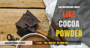 Do Mushrooms Smell Like Cocoa Powder? Uncovering the Sweet Truth