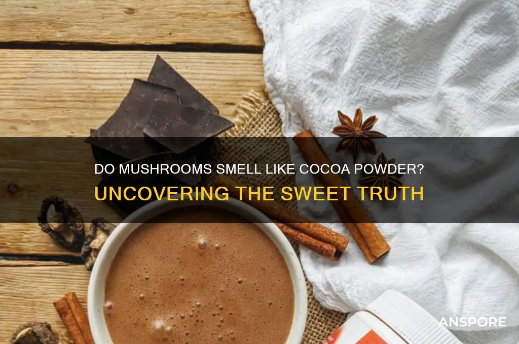 can mushrooms smell like cocoa powder