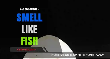 Do Mushrooms Smell Like Fish? Unraveling the Fungal Odor Mystery