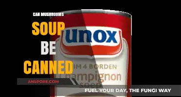 Canning Mushroom Soup: A Safe and Delicious Preservation Guide