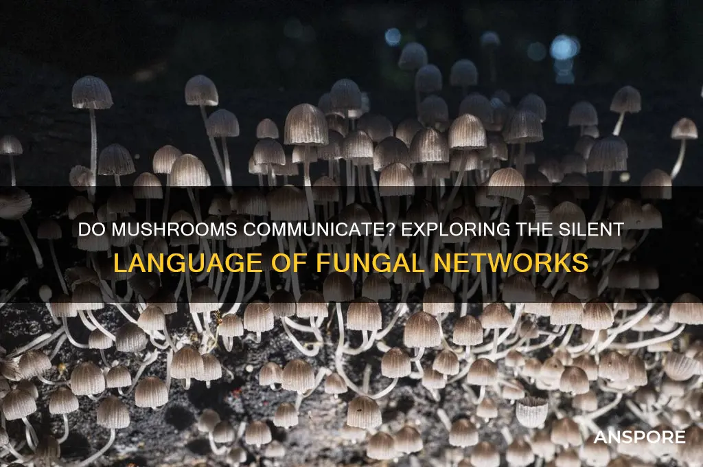 can mushrooms speak to each other