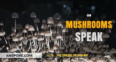 Do Mushrooms Communicate? Exploring the Silent Language of Fungi