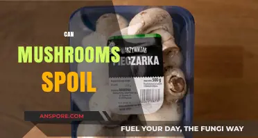Do Mushrooms Go Bad? Shelf Life and Storage Tips Explained