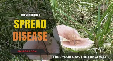 Mushrooms and Disease: Unveiling the Truth About Fungal Health Risks