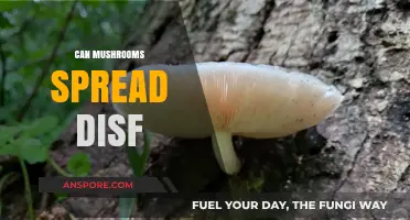 Can Mushrooms Spread Disease? Uncovering the Truth About Fungal Risks