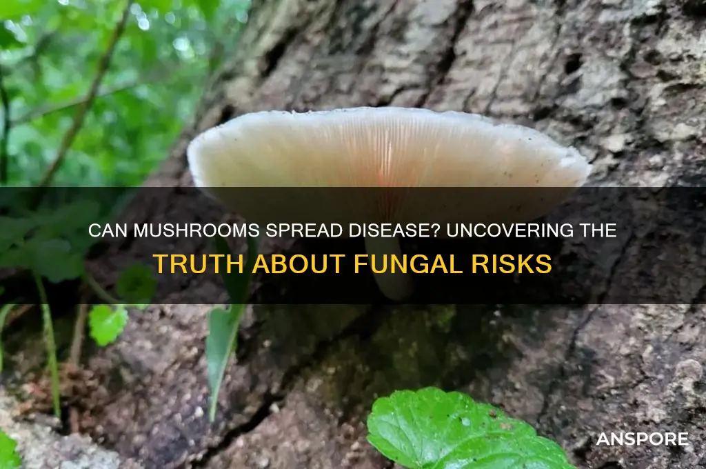 can mushrooms spread disf