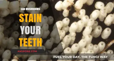 Do Mushrooms Stain Teeth? Surprising Facts About Fungi and Dental Health