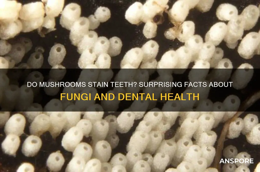 can mushrooms stain your teeth