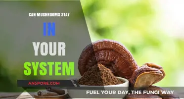 How Long Do Mushrooms Stay in Your System? Facts Revealed