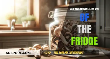 Mushrooms Without the Fridge: Safe Storage Tips and Tricks