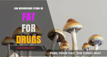 Mushroom Stems and Drug Testing: What You Need to Know