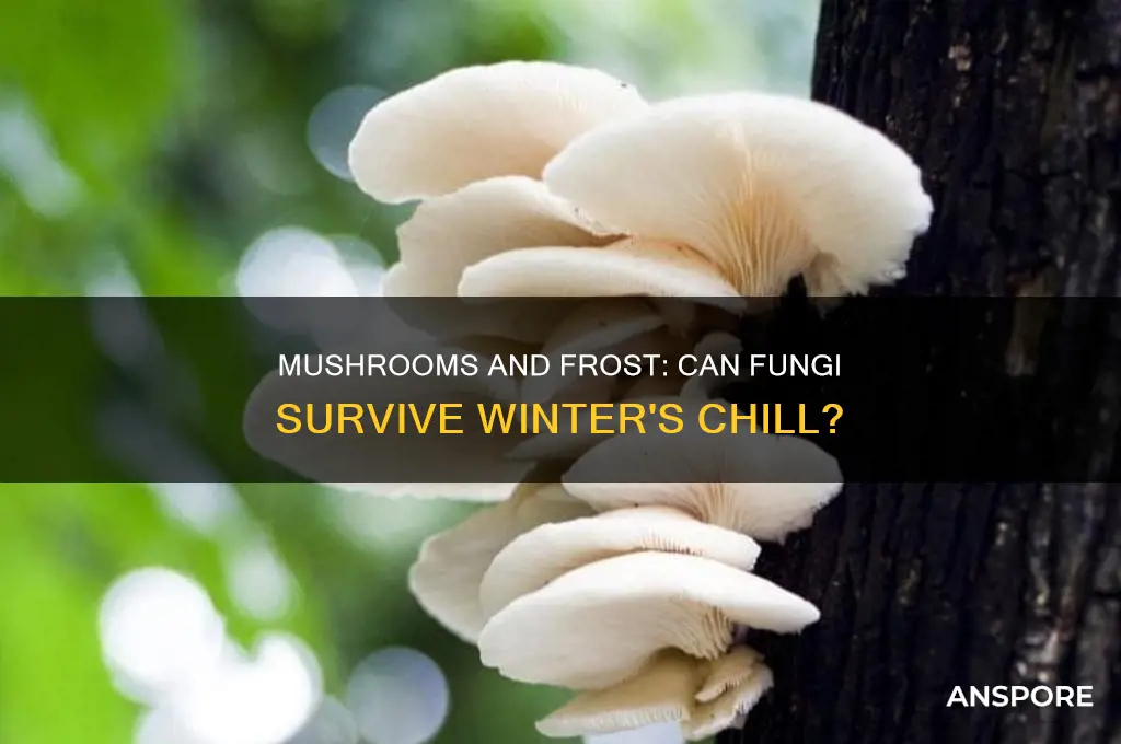 can mushrooms survive frost