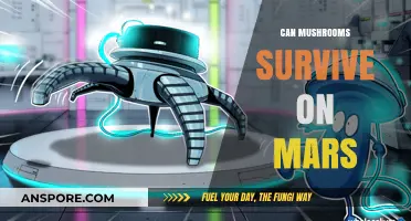 Can Mushrooms Thrive on Mars? Exploring Fungal Survival in Space