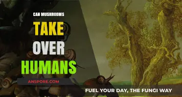 Can Mushrooms Take Over Humans? Exploring Fungal Intelligence and Risks