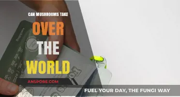 Mushrooms' Global Domination: Unlikely Takeover or Ecological Revolution?