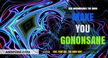 Mushrooms and Mental Health: Debunking Myths About Psilocybin and Insanity