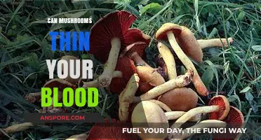 Mushrooms and Blood Thinning: Unveiling the Surprising Connection