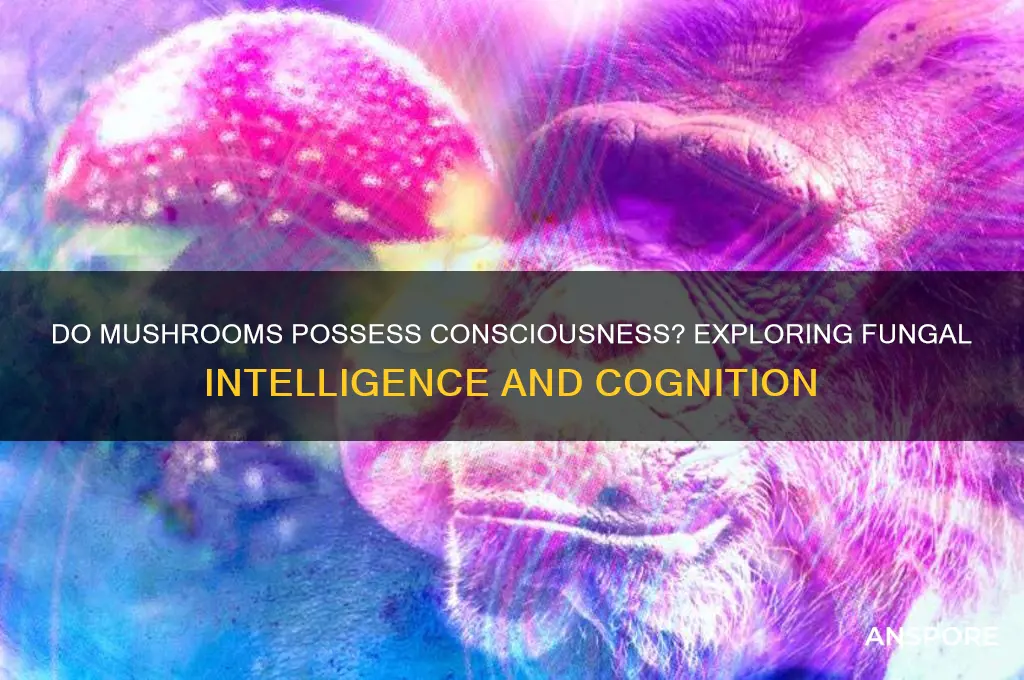 can mushrooms think