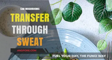 Can Mushrooms Spread Through Sweat? Unraveling the Fungal Transfer Myth