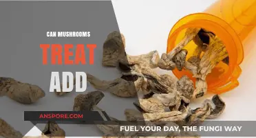 Exploring Mushrooms as a Potential Natural Treatment for ADHD Symptoms