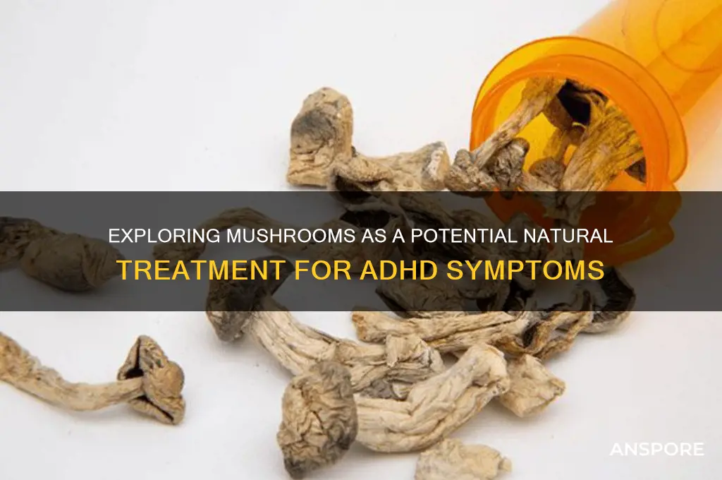 can mushrooms treat add