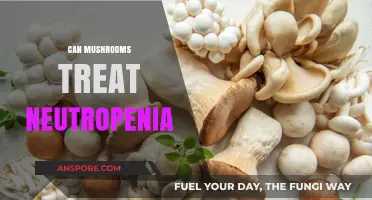 Mushrooms' Potential Role in Treating Neutropenia: A Comprehensive Overview