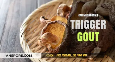 Mushrooms and Gout: Unraveling the Connection and Potential Risks