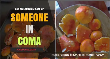Mushrooms and Coma Recovery: Unlocking Consciousness with Fungal Therapy?