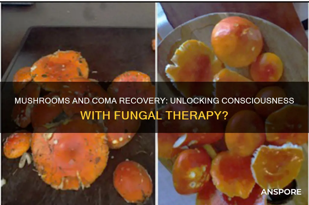 can mushrooms wake up someone in coma