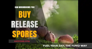 Do Store-Bought Mushrooms Release Spores? What You Need to Know