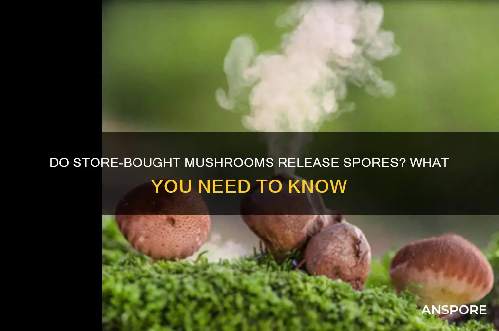 can mushrooms you buy release spores