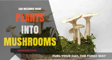 Can Mutandis Transform Plants into Mushrooms? Exploring the Possibility