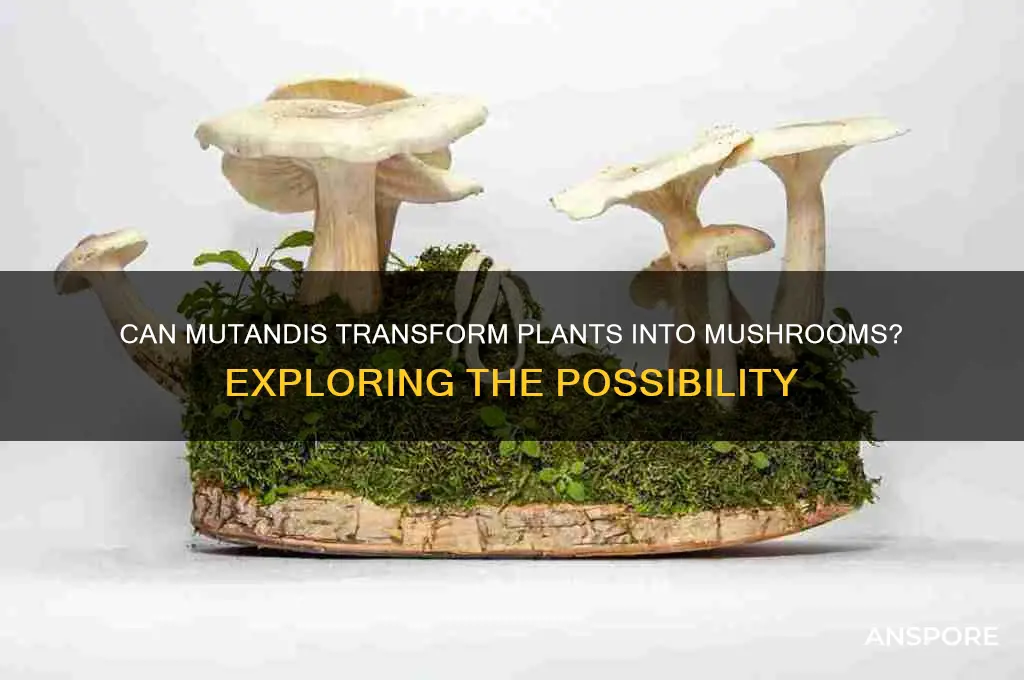 can mutandis make plants into mushrooms