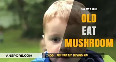 Mushrooms for Toddlers: Safe or Not for Your 1-Year-Old?