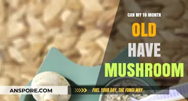 Mushrooms for Babies: Safe or Not at 10 Months Old?