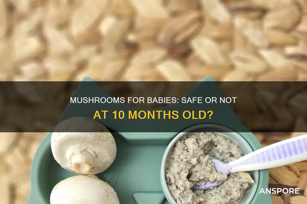 can my 10 month old have mushrooms