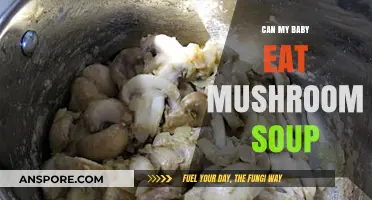 Can Babies Eat Mushroom Soup? A Safe Feeding Guide for Parents