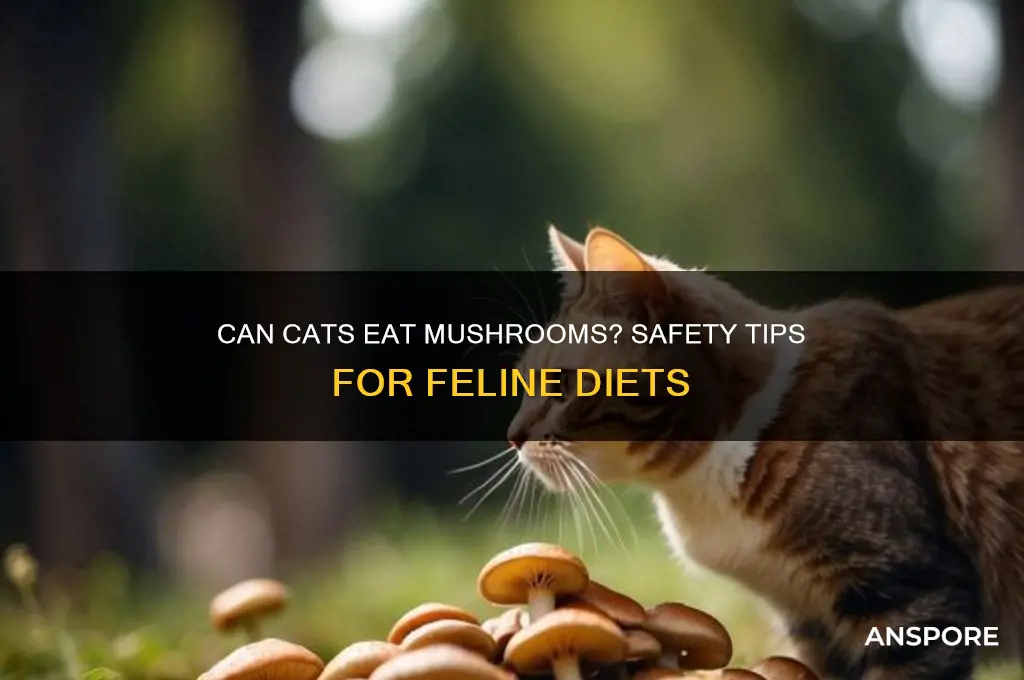 can my cat eat mushrooms