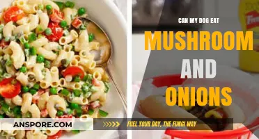 Mushrooms and Onions: Are They Safe for Your Dog to Eat?