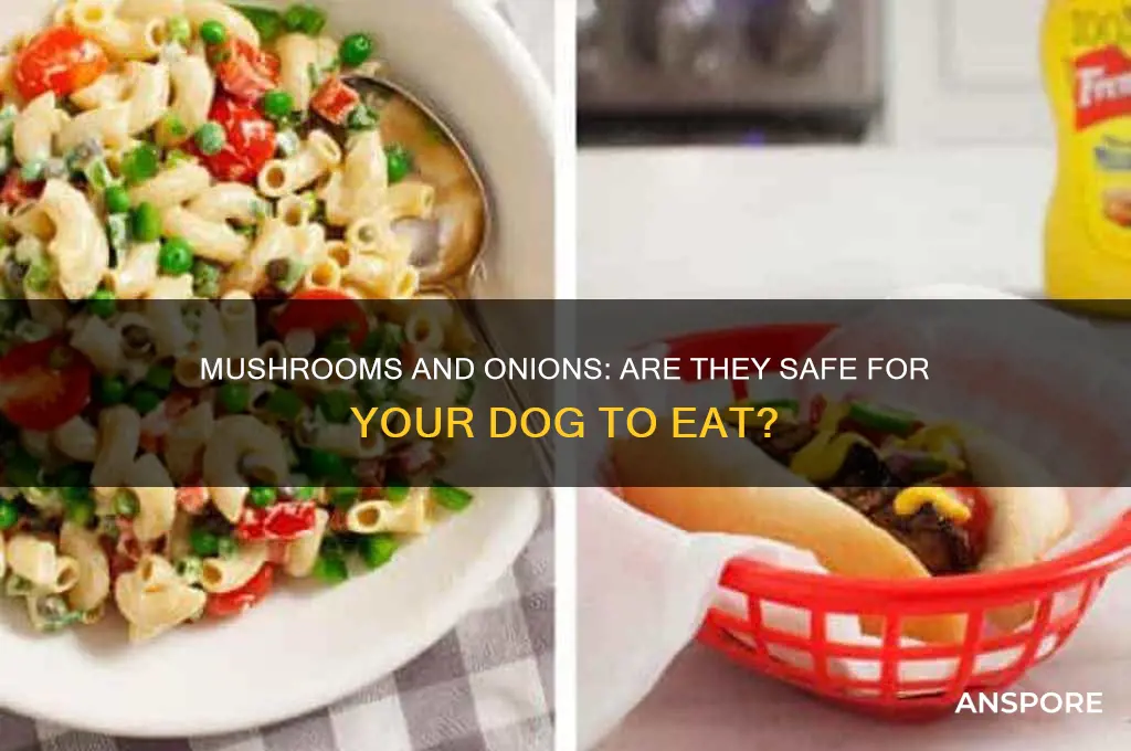 can my dog eat mushrooms and onions